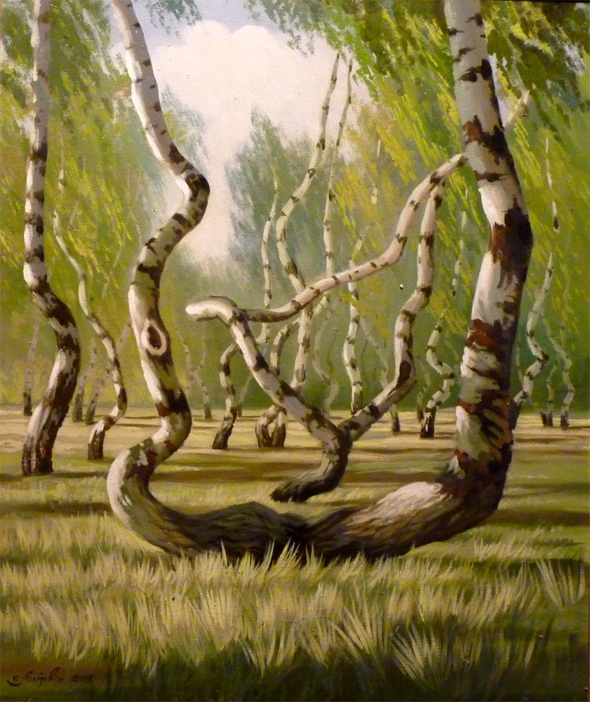 The grove of the dancing birches. Танцующие березы Боровое Казахстан. Танцующий лес Боровое Казахстан.