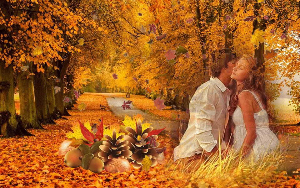 Песня кружит осенний листопад а сердце. Золотая осень любовь. Листопад любовь. Осень любовь анимация. Осень любовь листопад.