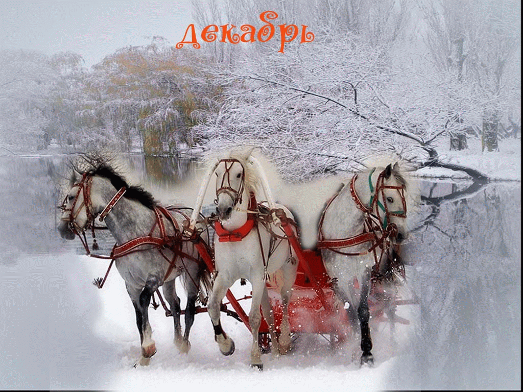 Пять месяцев зимы. Тройка белых коней. Три белых коня. Тройка лошадей. Открытка зимняя.