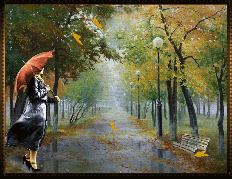 В саду гуляет ветер. Осенний дождь. Дождливая осень. Дождь осенью. Дождливый день.