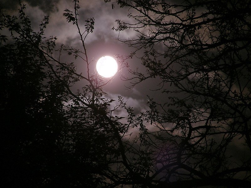 Июльская ночь. Ночь в начале июня. Июльская ночь фото. Июльская ночь Луна фото картинки красивые.