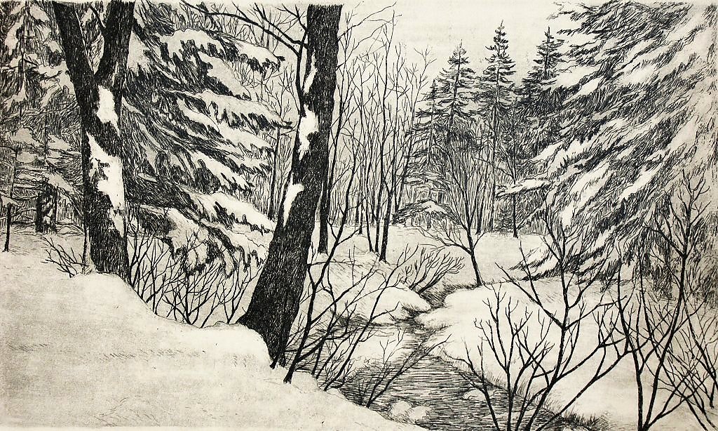 зимний лес фон. в лесу еще снег лежит. снег лес крупный план. снег лежит. в полях тает а в лесу снег.